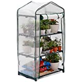 Bramble - Small Greenhouse with 3 Levels - Plastic for...