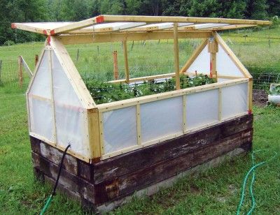decorative mini greenhouse