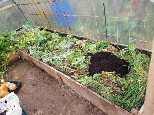 mulch for vegetable garden