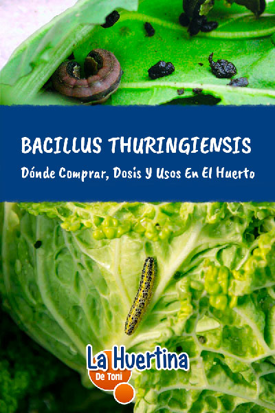 neem oil and bacillus thuringiensis