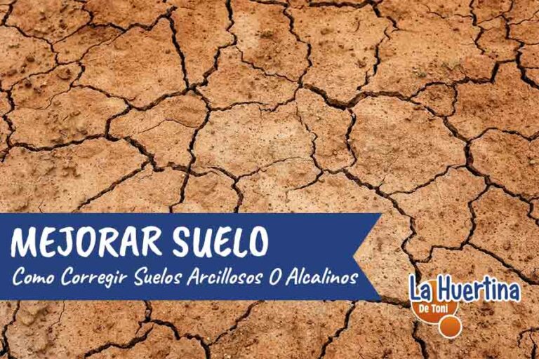 como mejorar suelos arcillosos o arenosos