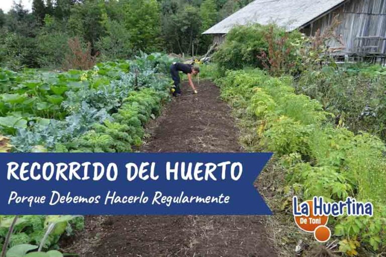 Caminata De Mantenimiento