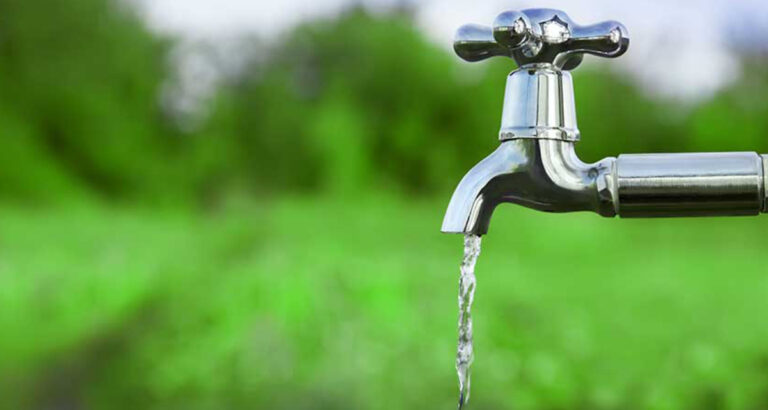 Is it harmful to water plants with chlorinated water?
