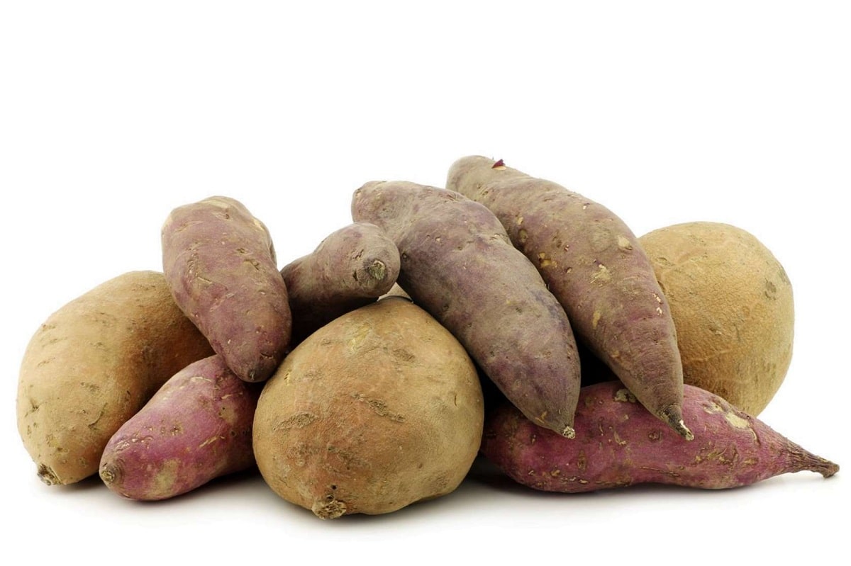 varieties of sweet potatoes