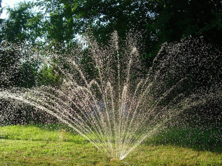 5 tips to protect the garden from the heat