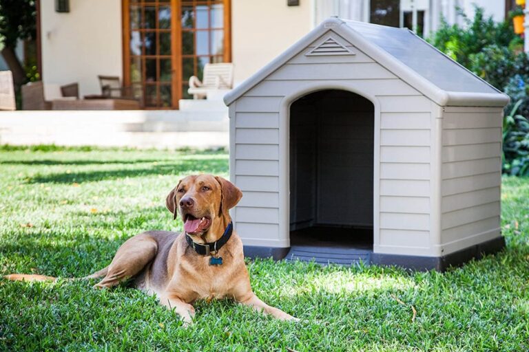 casetas para perros