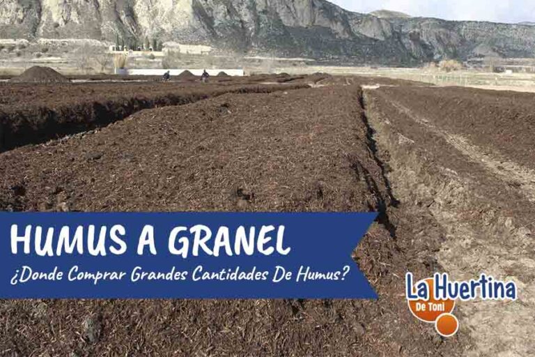 humus de lombriz a granel