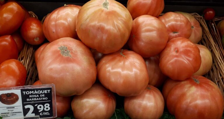 Tomate rosa de Barbastro