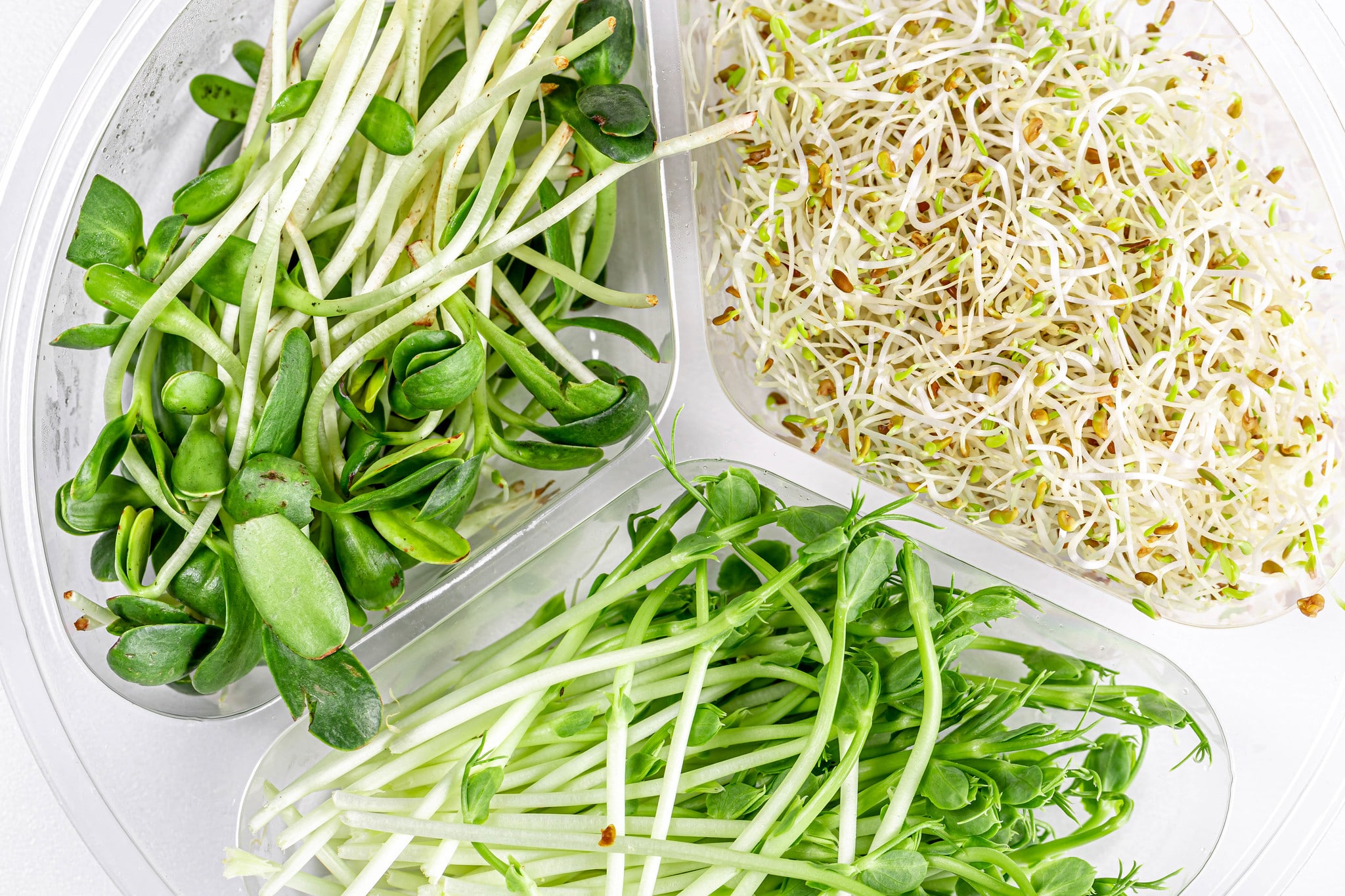 Microgreens are not the same as sprouts