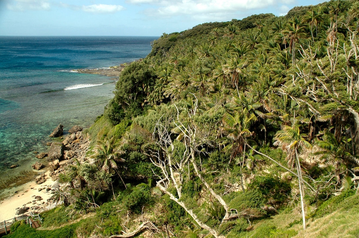The Kentia live on Lord Howe Island.