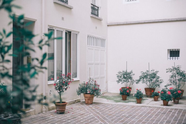 house decorated with potted flowers and plants