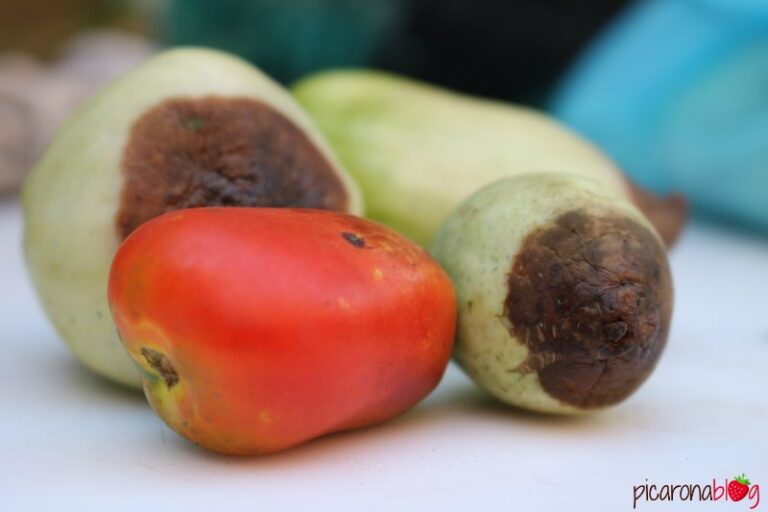 Why black tomatoes are good for you