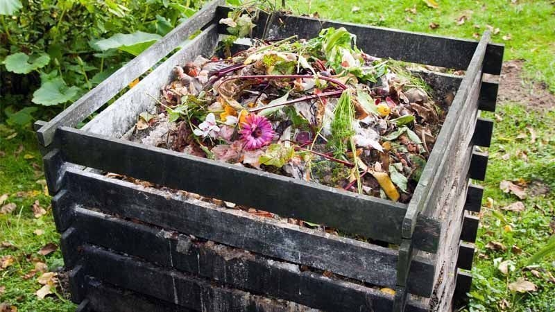 compost formation