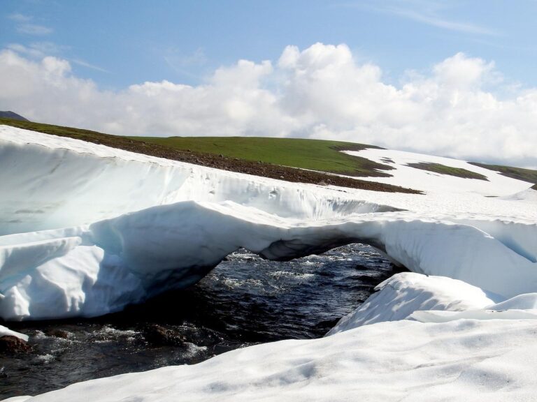 Existen tres tipos diferentes de tundra