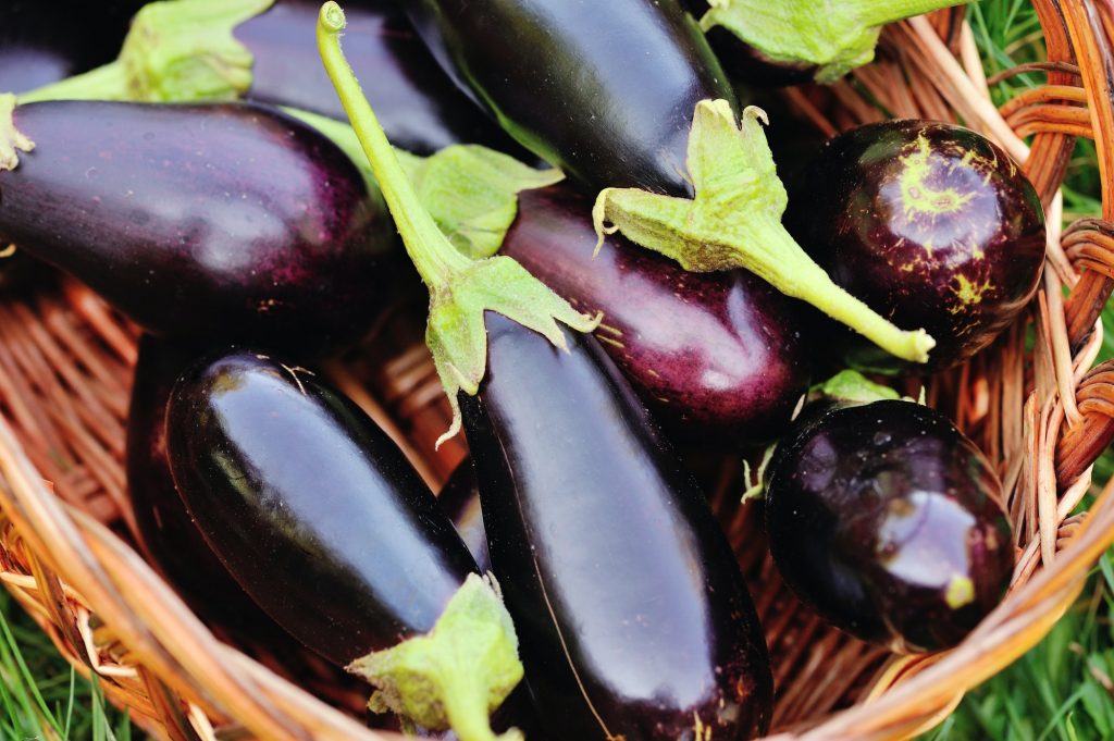 Fresh eggplant What does eggplant taste like?