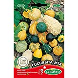 Germisem Cucurbita Mix Pumpkin Seeds 2g