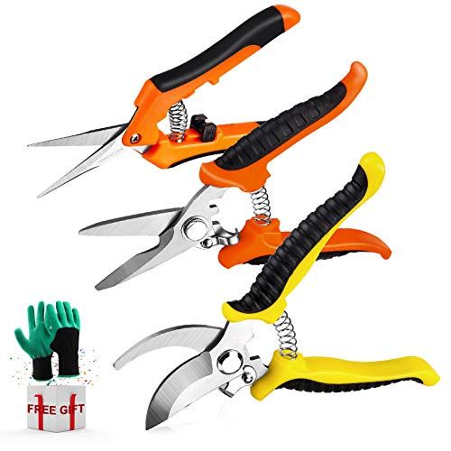 3 Pcs Garden Pruning Shears, Stainless Steel Blades, Manual Pruning Shears Set with Garden Gloves