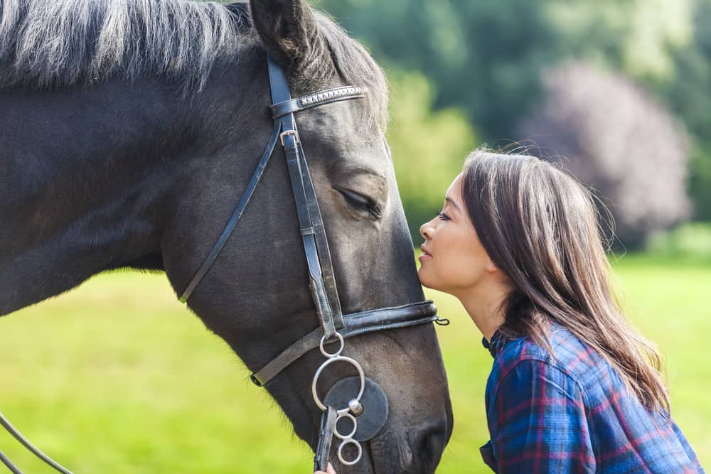 7 Ways to Befriend a Horse and Build a Healthy Relationship