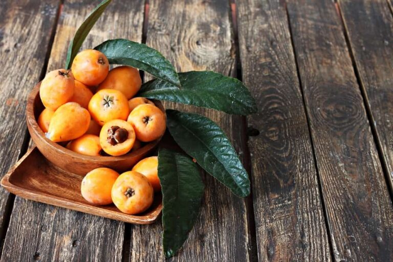 Planting, caring for and harvesting the Japanese plum