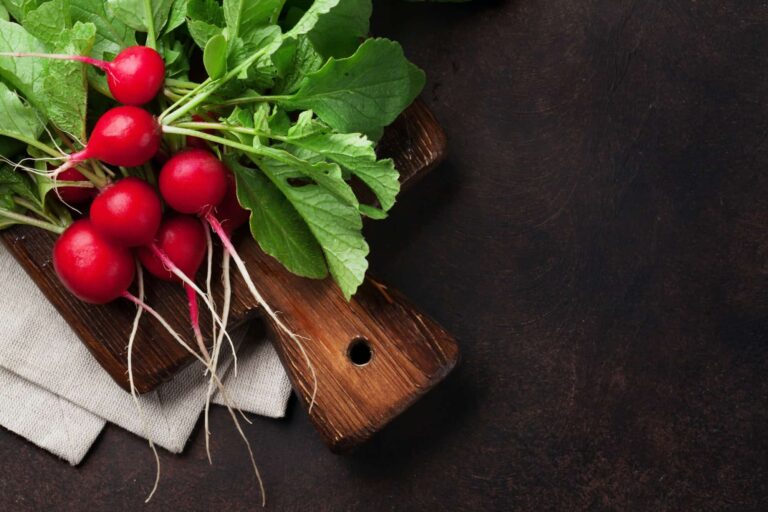 garden radish