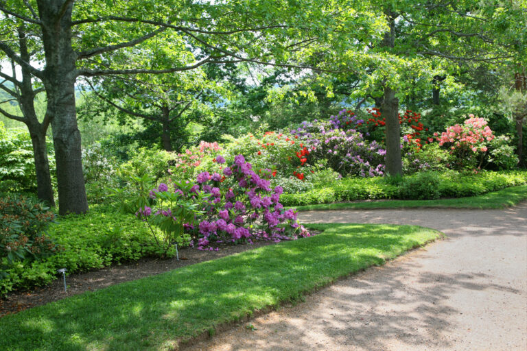 Garden Exhibition: Climate, Wind and Sun