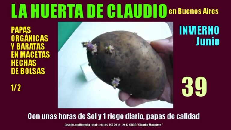 Growing Organic Potatoes
