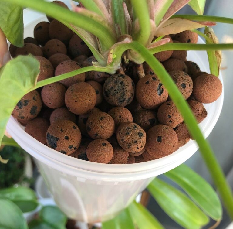 How do self-watering pots work?  - A PUZZLE