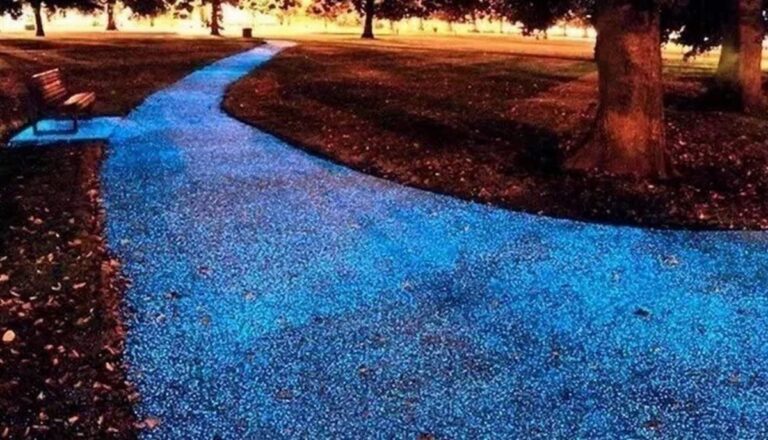 gravilla para jard&iacute;n