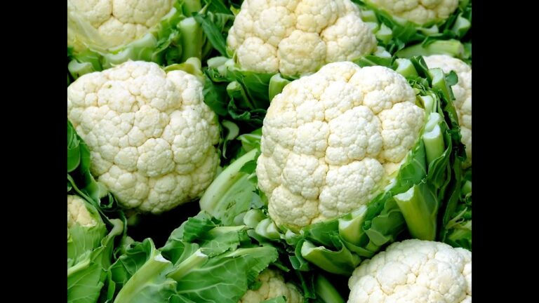 How to grow cauliflower