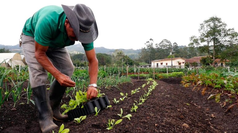 Organic farming: how and why
