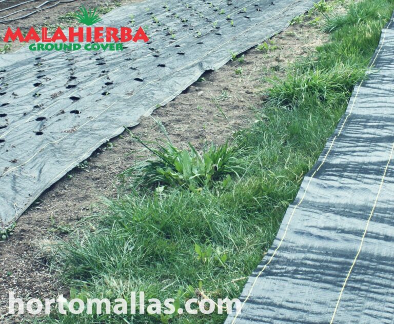 Soil Types For The Garden: Woven