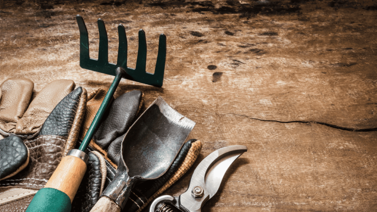 The effortless garden: 5 clever tools