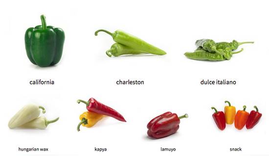 Varieties of peppers: what seeds to grow