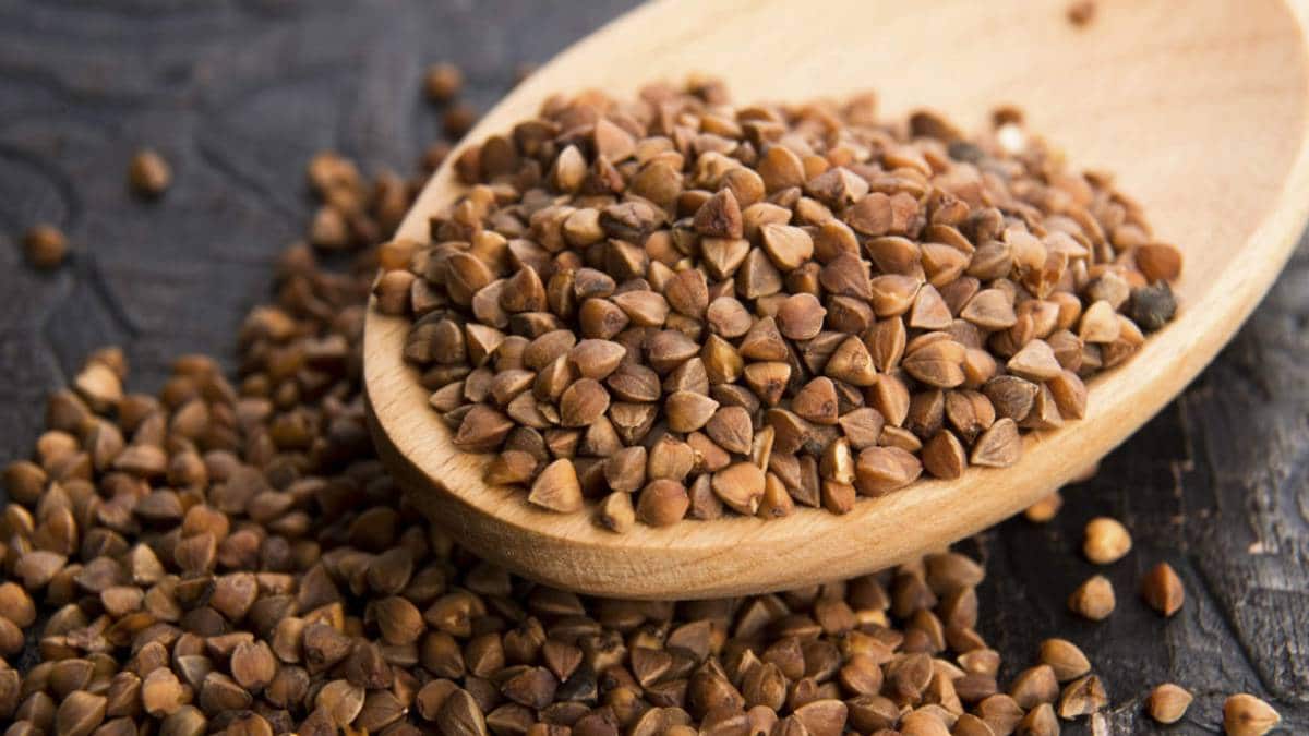 what is buckwheat and its characteristics