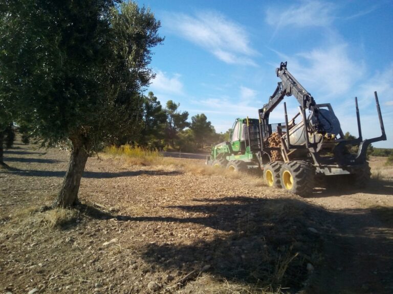 desbroce del terreno agricultura