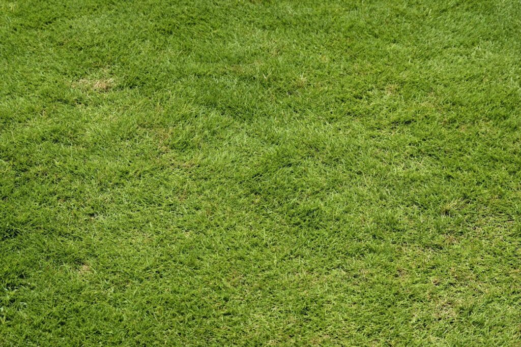 What is it and how do you do it for a healthy lawn?