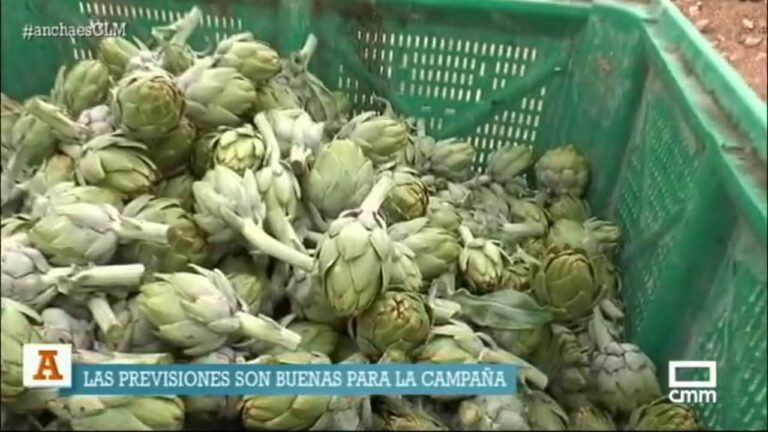 When to Choose Artichokes