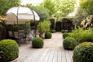 Beautify your garden: modern style
