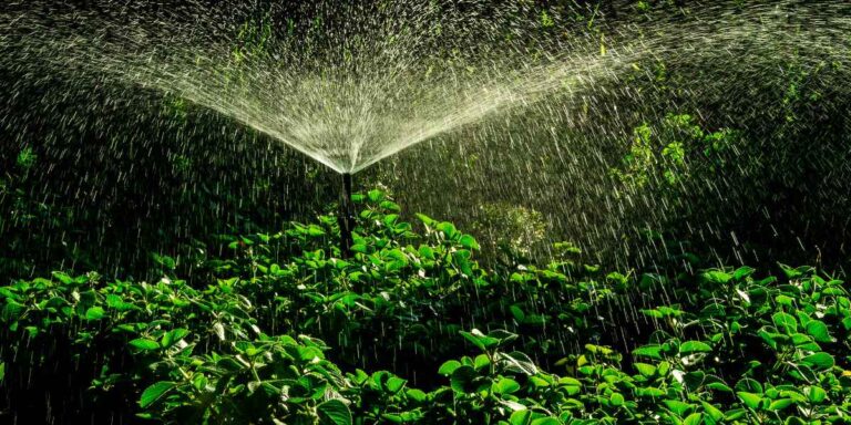 How to make your own irrigation system