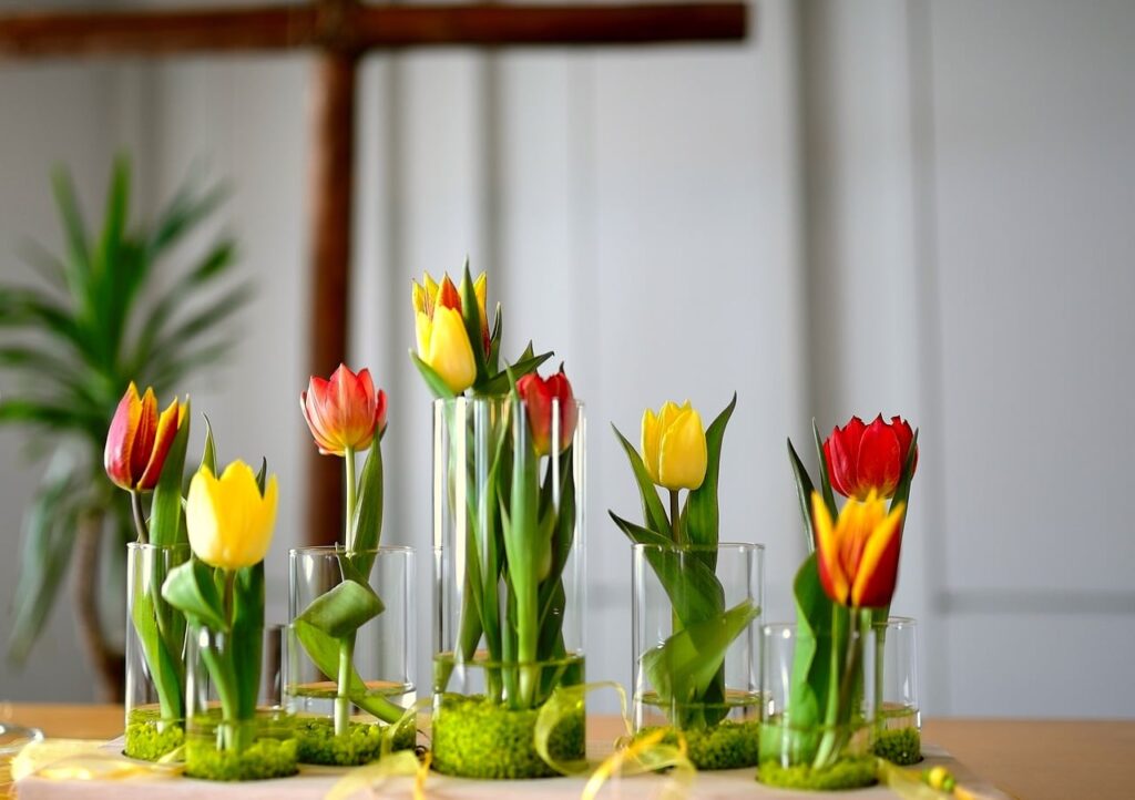 Cultivar tulipanes en agua es sencillo y eficaz