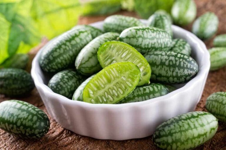 How to plant and use these little wonders