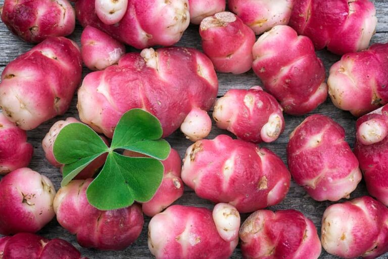 How to Plant and Raise This Underrated Vegetable