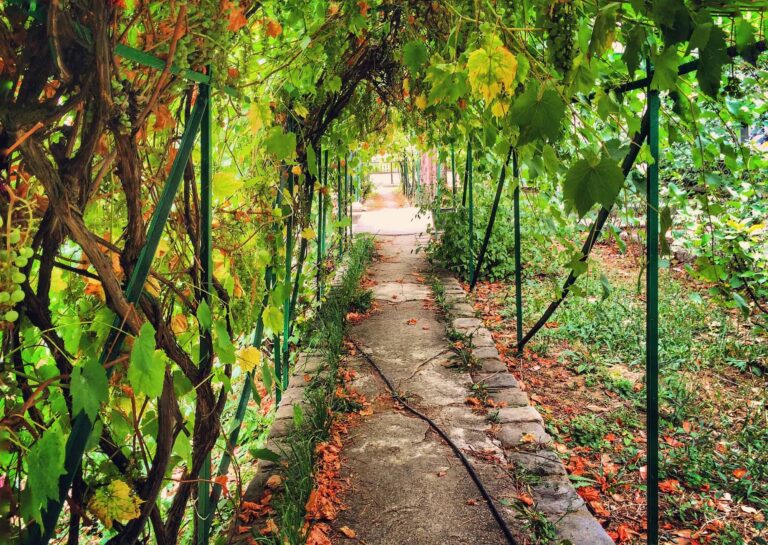 6 benefits of urban gardening