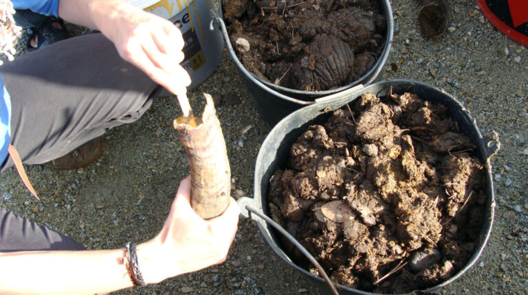Biodynamic preparations