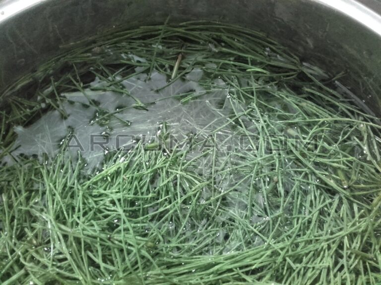 Horsetail decoction
