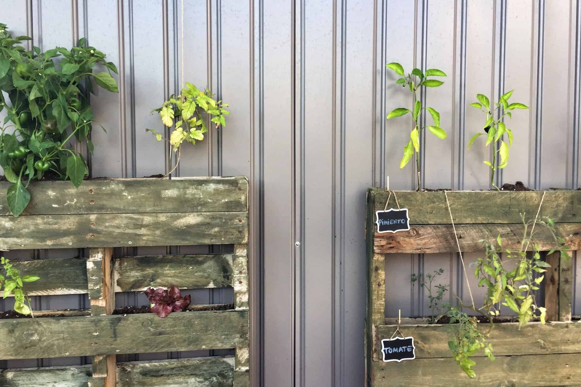 How to Make a Pallet Garden (Complete Guide) – ISPUZZLE - Global ...