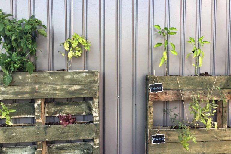 How to make a pallet garden?