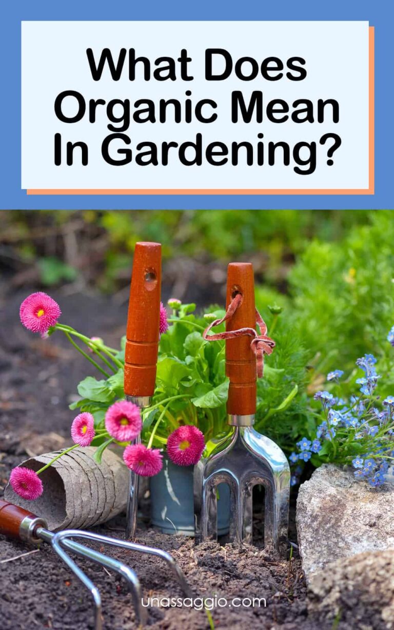 What does organic mean in gardening?