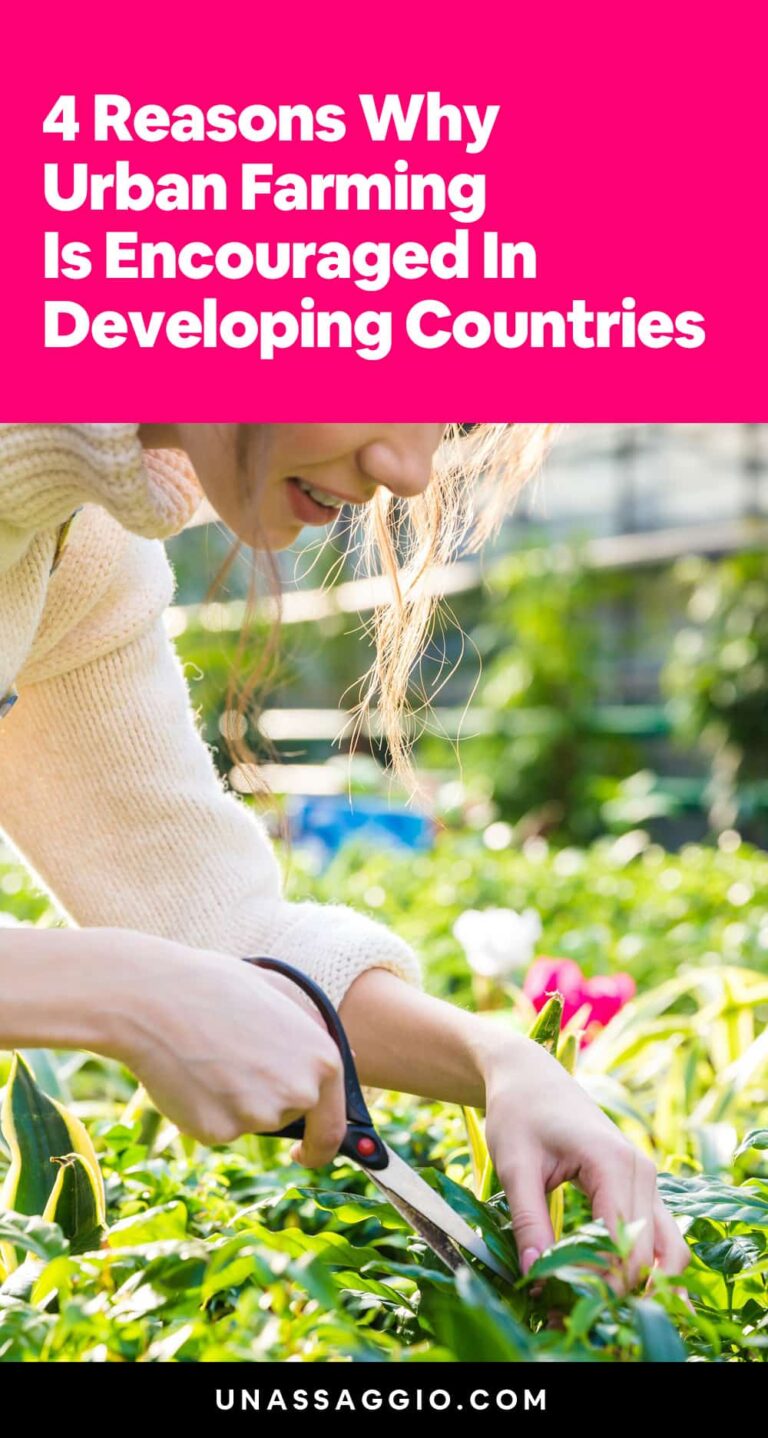 4 reasons why urban agriculture is encouraged in developing countries