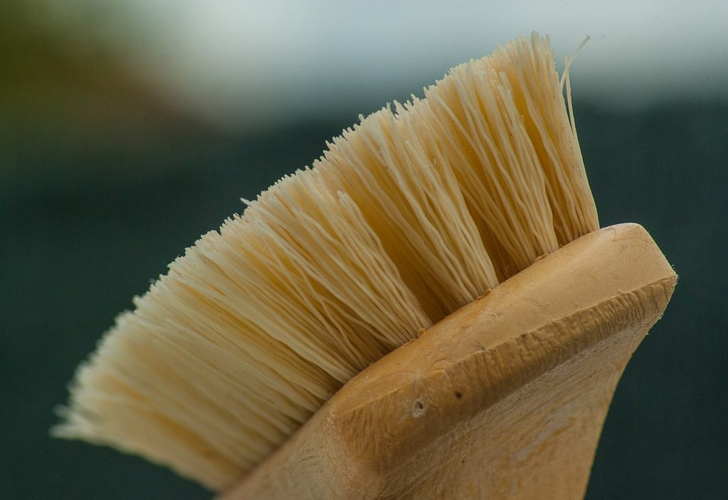 Brush for the maintenance of wooden garden furniture.